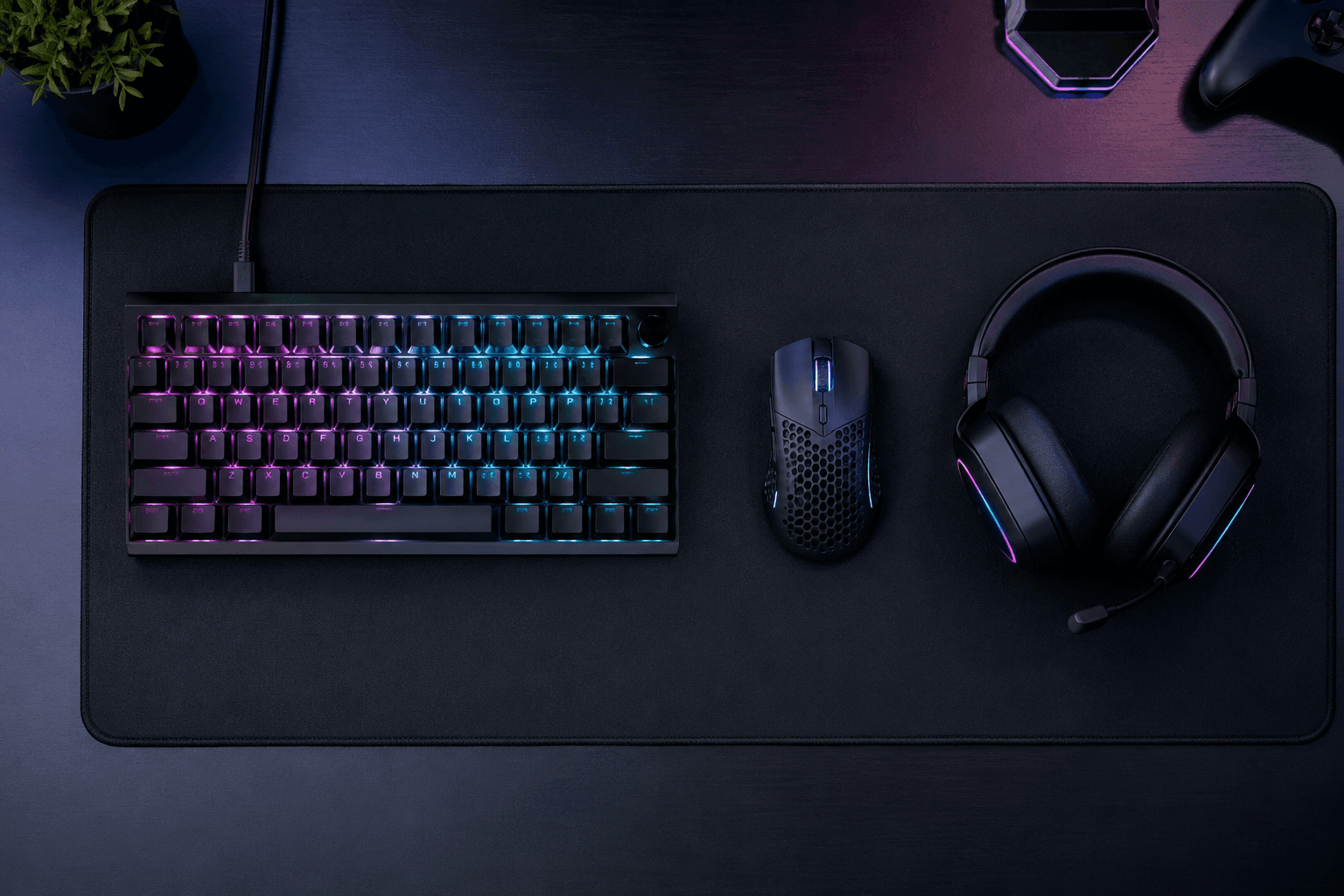 Keyboard, Mouse, Headset: What Should You Actually Spend on Gaming Peripherals?